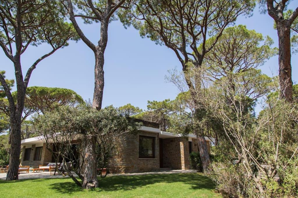 Villa Roccapini Castiglione della Pescaia Esterno foto
