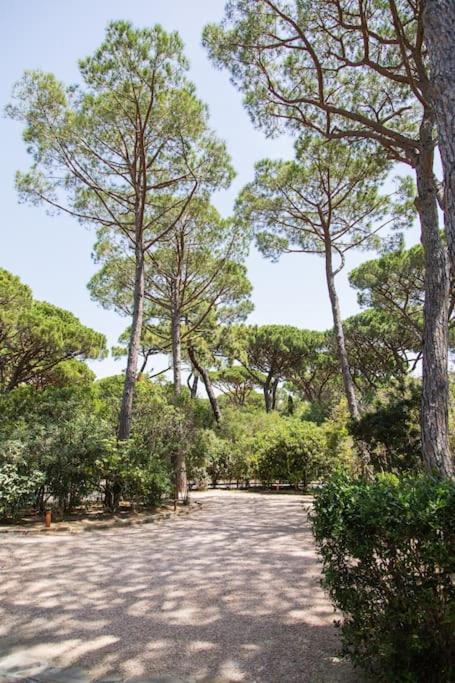 Villa Roccapini Castiglione della Pescaia Esterno foto